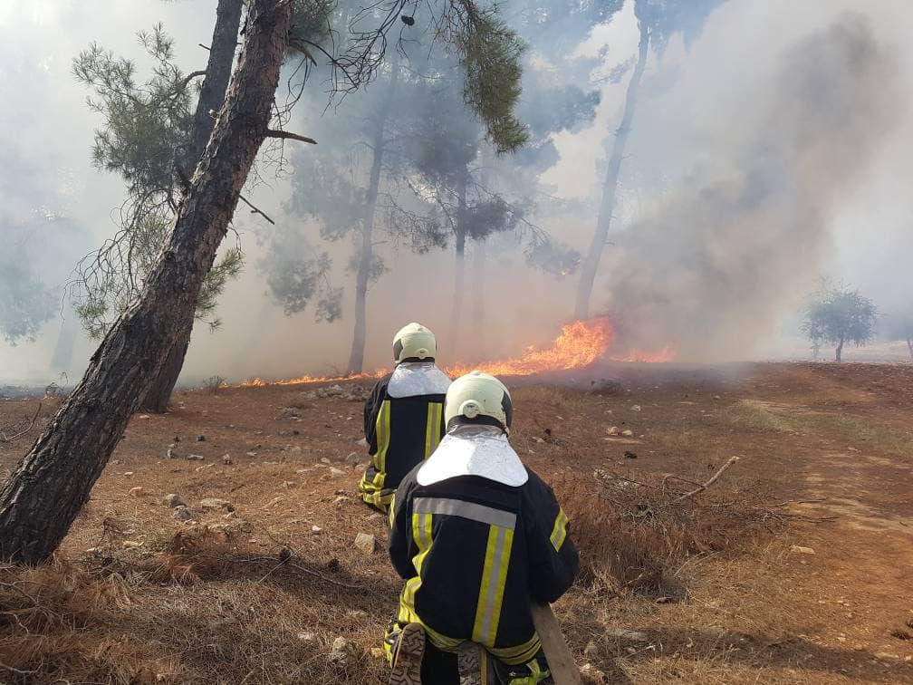 Rêxistinek: Dar û daristanên Efrînê bi qest tên şewitandin
